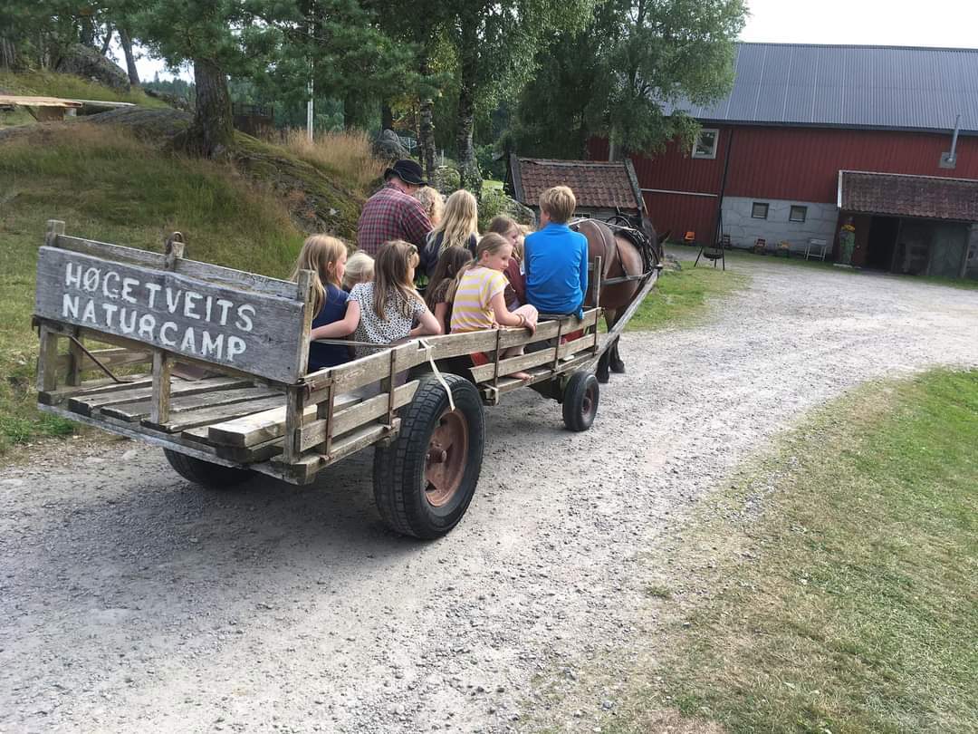 Høsttreff på Høgetveit 1-3. september