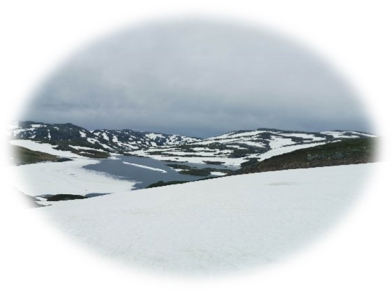 Velkommen til årsmøte og vinter treff uke 9 Evje